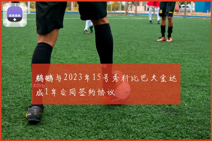 鹈鹕与2023年15号秀科比巴夫金达成1年合同签约协议
