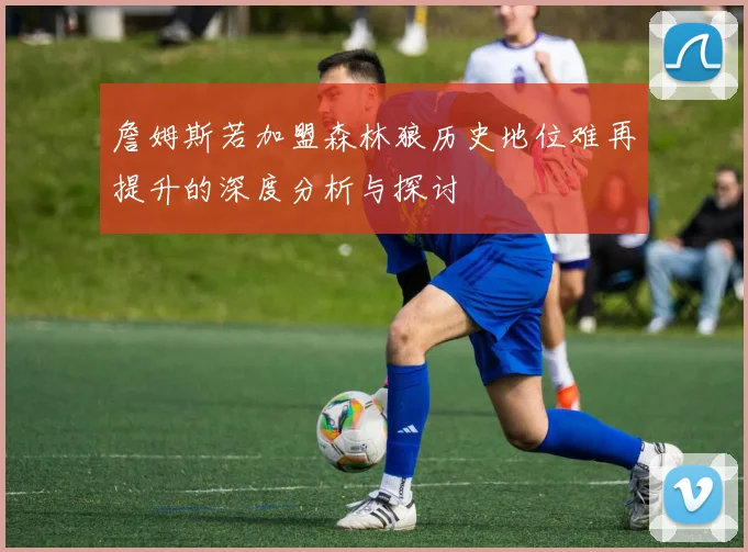 詹姆斯若加盟森林狼历史地位难再提升的深度分析与探讨